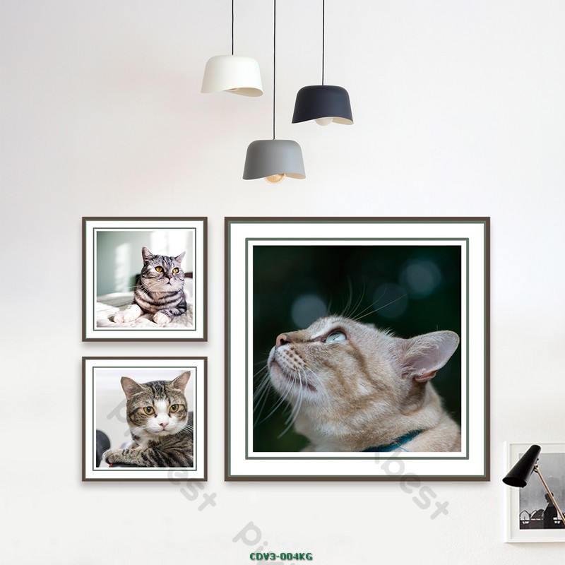 Động vật CDV3-004KG